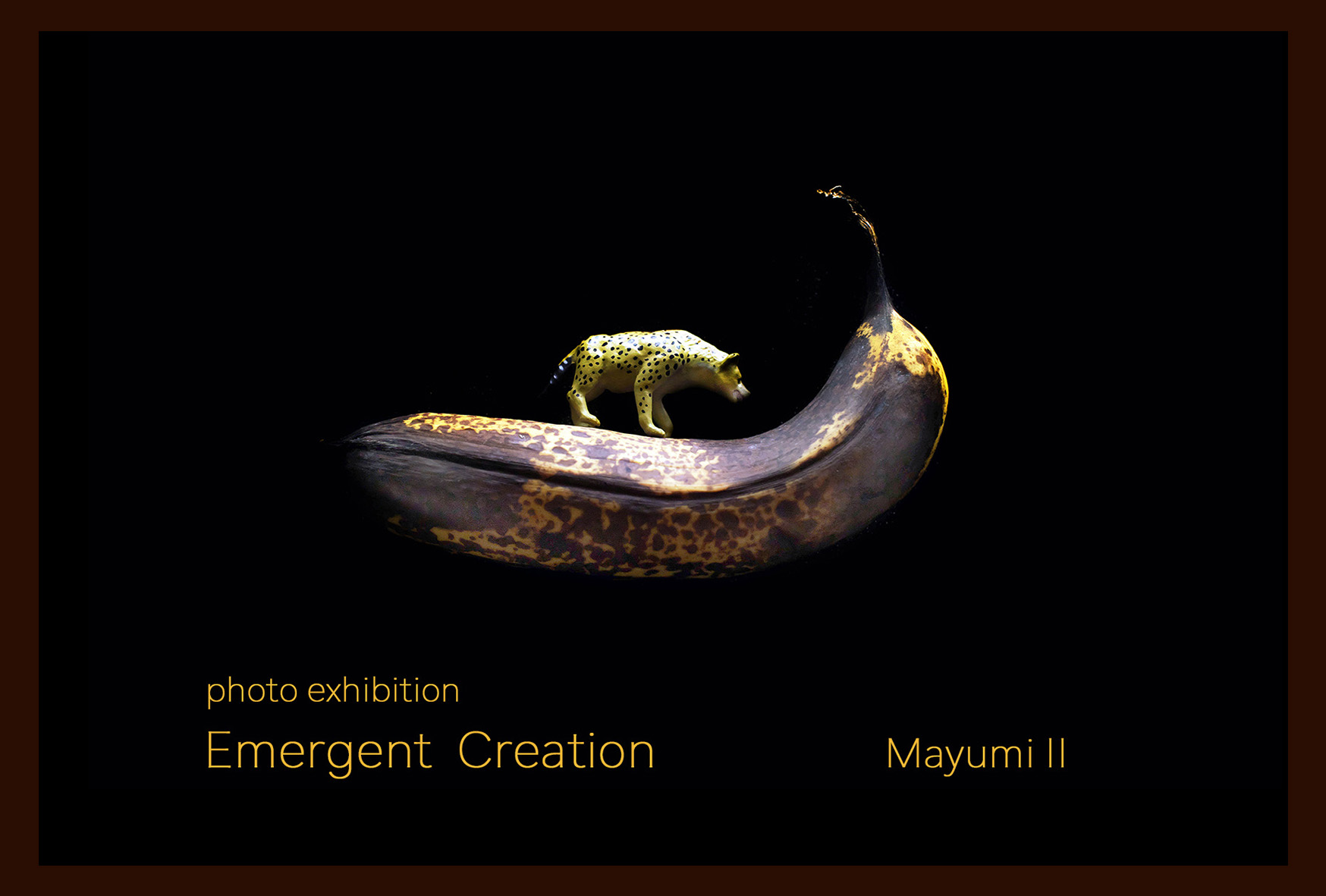 Mayumi II photo exhibition Emergent Creation